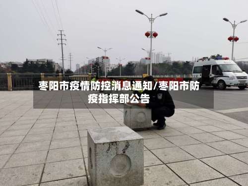 枣阳市疫情防控消息通知/枣阳市防疫指挥部公告-第2张图片