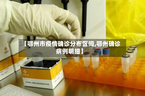 【鄂州市疫情确诊分布区间,鄂州确诊病例明细】