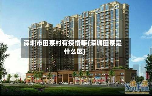 深圳市田寮村有疫情嘛(深圳田寮是什么区)-第3张图片