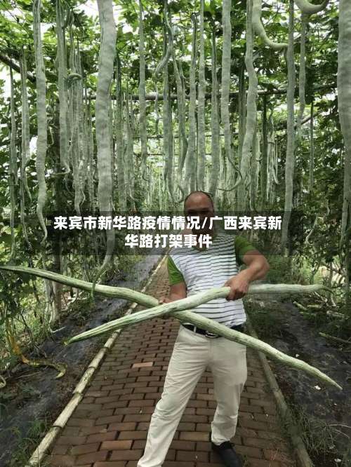 来宾市新华路疫情情况/广西来宾新华路打架事件