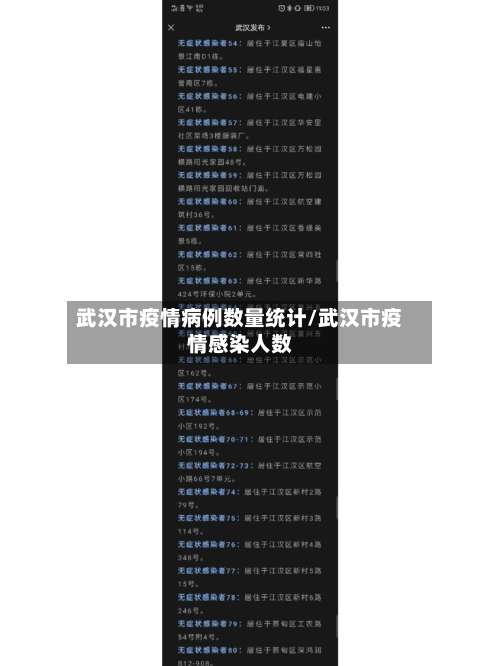 武汉市疫情病例数量统计/武汉市疫情感染人数-第2张图片