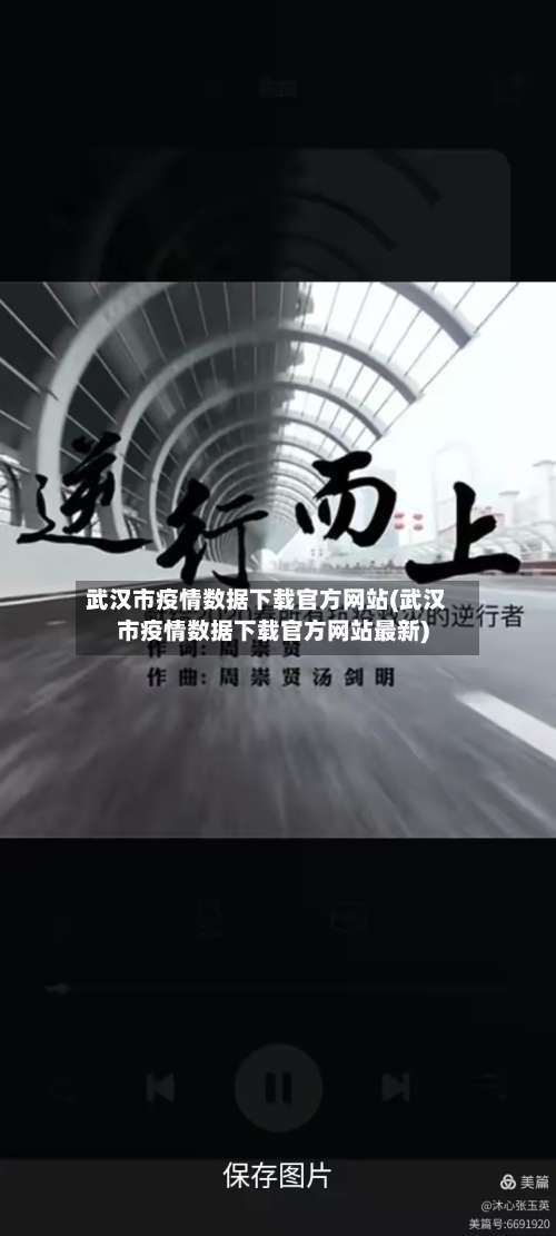 武汉市疫情数据下载官方网站(武汉市疫情数据下载官方网站最新)-第2张图片