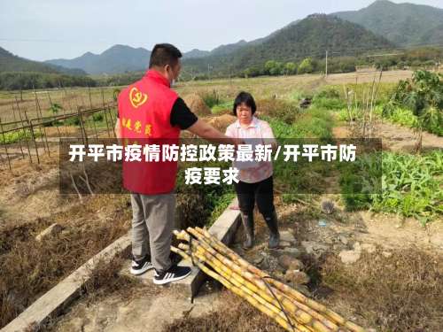 开平市疫情防控政策最新/开平市防疫要求