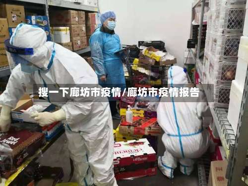 搜一下廊坊市疫情/廊坊市疫情报告-第2张图片