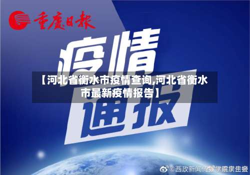 【河北省衡水市疫情查询,河北省衡水市最新疫情报告】-第2张图片