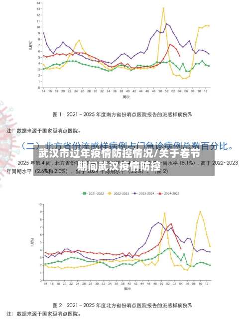 武汉市过年疫情防控情况/关于春节期间武汉疫情防控-第3张图片
