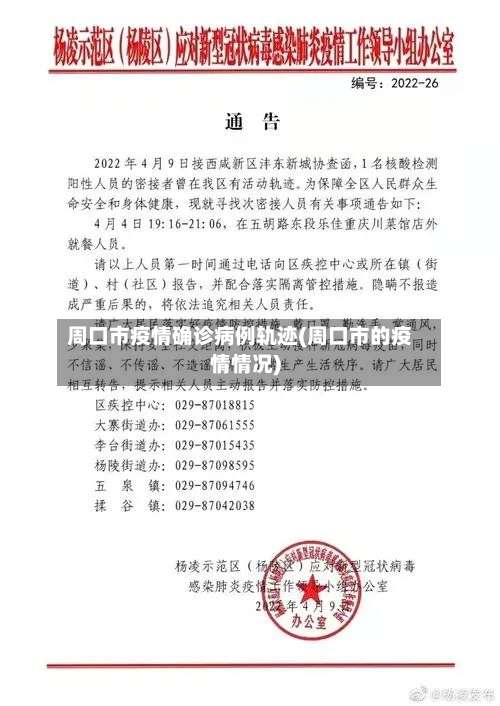 周口市疫情确诊病例轨迹(周口市的疫情情况)-第2张图片