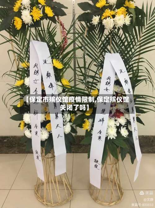 【保定市殡仪馆疫情限制,保定殡仪馆关闭了吗】