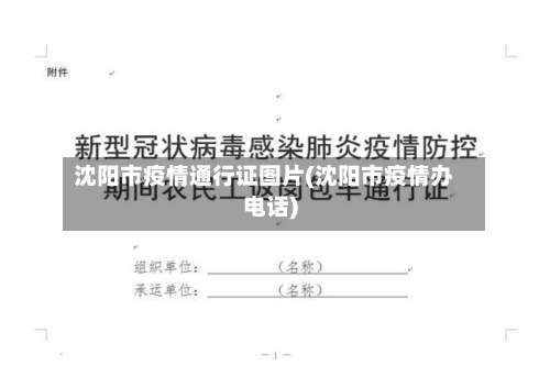 沈阳市疫情通行证图片(沈阳市疫情办电话)