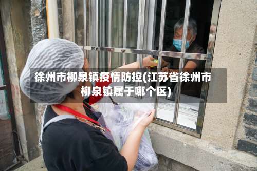 徐州市柳泉镇疫情防控(江苏省徐州市柳泉镇属于哪个区)-第2张图片