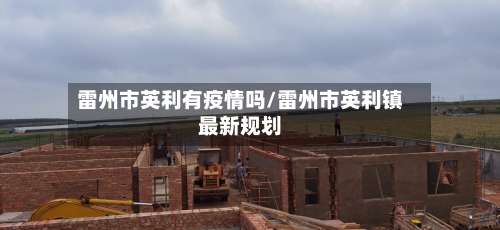 雷州市英利有疫情吗/雷州市英利镇最新规划-第2张图片