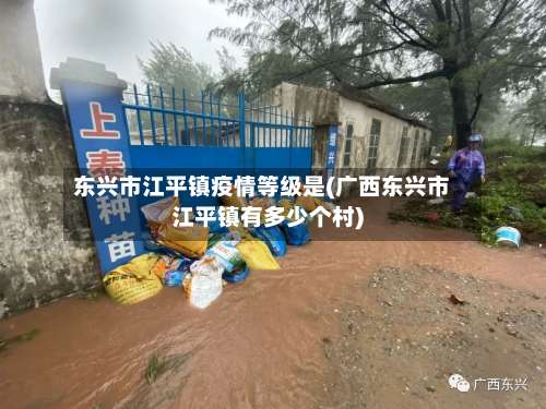 东兴市江平镇疫情等级是(广西东兴市江平镇有多少个村)-第2张图片