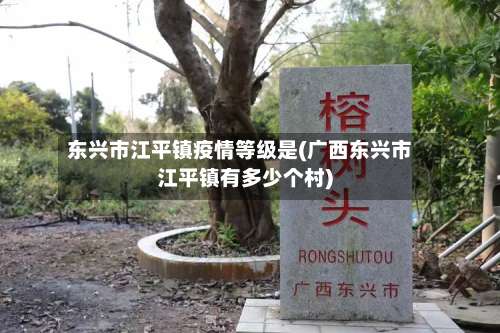 东兴市江平镇疫情等级是(广西东兴市江平镇有多少个村)