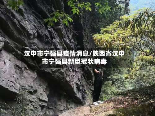 汉中市宁强县疫情消息/陕西省汉中市宁强县新型冠状病毒-第2张图片