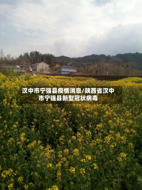 汉中市宁强县疫情消息/陕西省汉中市宁强县新型冠状病毒