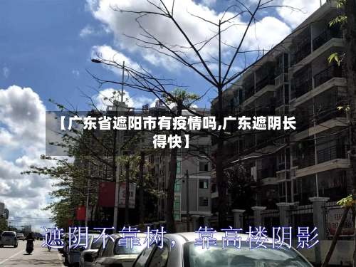 【广东省遮阳市有疫情吗,广东遮阴长得快】