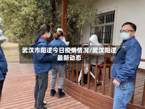 武汉市阳逻今日疫情情况/武汉阳逻最新动态-第3张图片