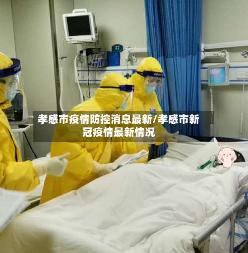 孝感市疫情防控消息最新/孝感市新冠疫情最新情况-第2张图片