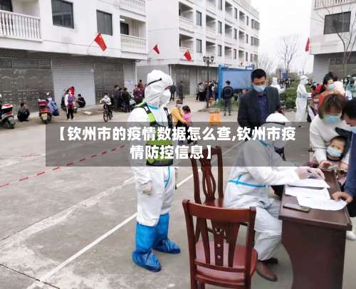 【钦州市的疫情数据怎么查,钦州市疫情防控信息】