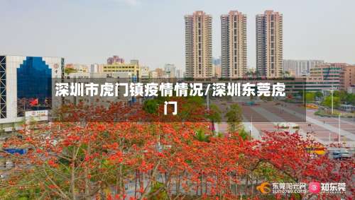 深圳市虎门镇疫情情况/深圳东莞虎门