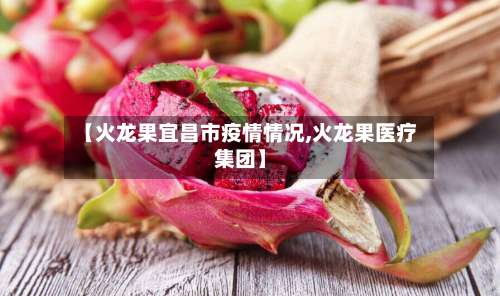 【火龙果宜昌市疫情情况,火龙果医疗集团】