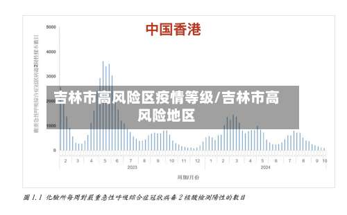 吉林市高风险区疫情等级/吉林市高风险地区-第2张图片