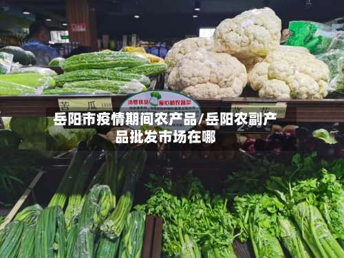 岳阳市疫情期间农产品/岳阳农副产品批发市场在哪-第2张图片