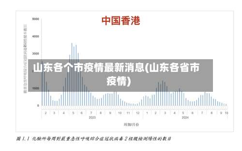 山东各个市疫情最新消息(山东各省市疫情)