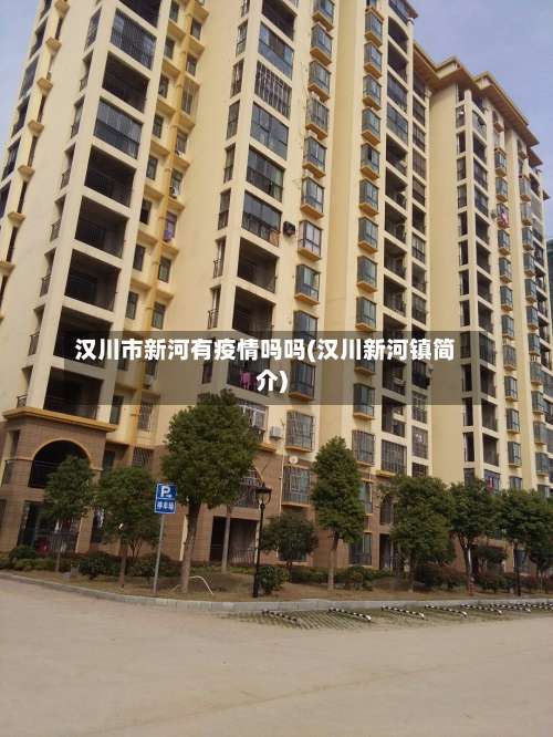 汉川市新河有疫情吗吗(汉川新河镇简介)