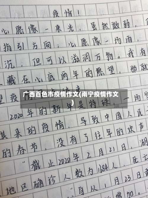 广西百色市疫情作文(南宁疫情作文)-第2张图片