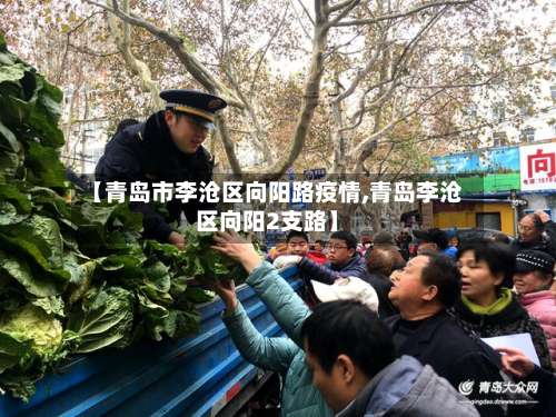 【青岛市李沧区向阳路疫情,青岛李沧区向阳2支路】