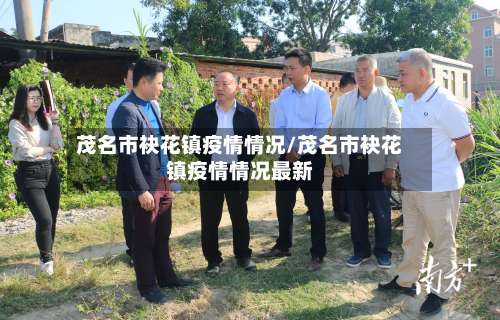 茂名市袂花镇疫情情况/茂名市袂花镇疫情情况最新