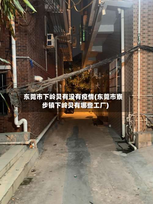 东莞市下岭贝有没有疫情(东莞市寮步镇下岭贝有哪些工厂)