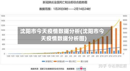 沈阳市今天疫情数据分析(沈阳市今天疫情数据分析图)-第2张图片