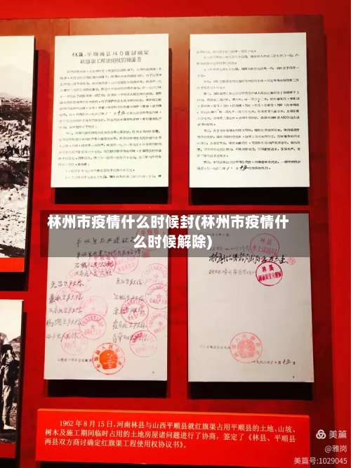 林州市疫情什么时候封(林州市疫情什么时候解除)-第2张图片