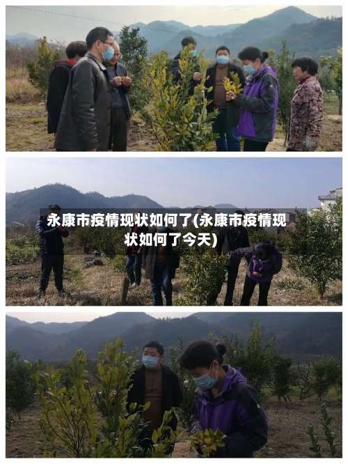 永康市疫情现状如何了(永康市疫情现状如何了今天)