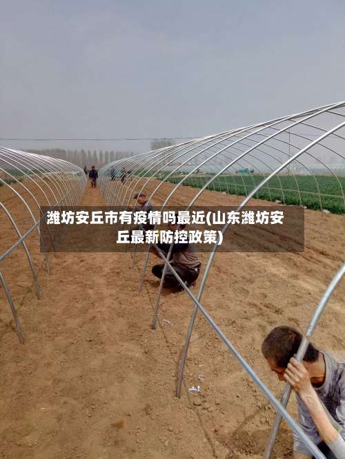 潍坊安丘市有疫情吗最近(山东潍坊安丘最新防控政策)