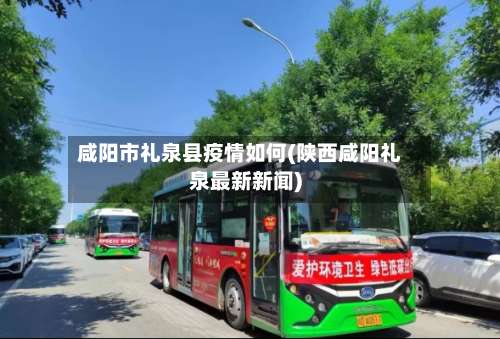 咸阳市礼泉县疫情如何(陕西咸阳礼泉最新新闻)-第3张图片