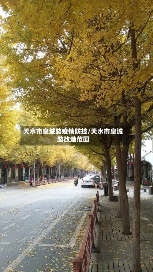 天水市皇城路疫情防控/天水市皇城路改造范围