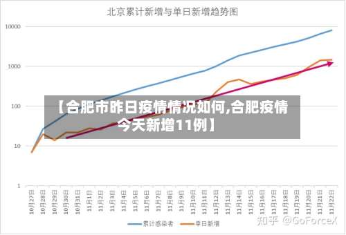 【合肥市昨日疫情情况如何,合肥疫情今天新增11例】-第3张图片