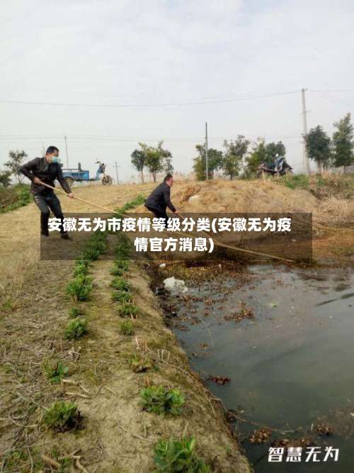 安徽无为市疫情等级分类(安徽无为疫情官方消息)