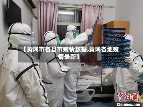【黄冈市各县市疫情数据,黄冈各地疫情最新】-第3张图片