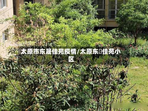 太原市东晟佳苑疫情/太原东昇佳苑小区-第2张图片