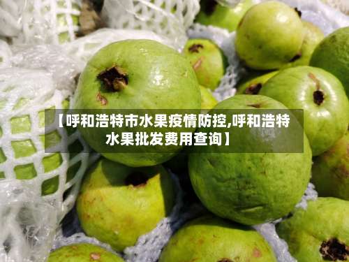 【呼和浩特市水果疫情防控,呼和浩特水果批发费用查询】-第2张图片