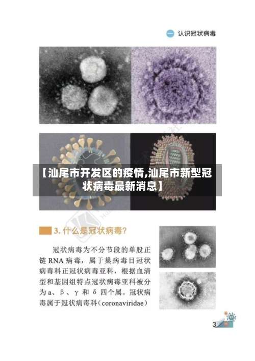 【汕尾市开发区的疫情,汕尾市新型冠状病毒最新消息】-第2张图片