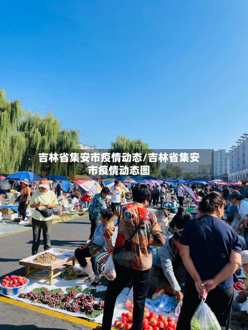 吉林省集安市疫情动态/吉林省集安市疫情动态图-第2张图片