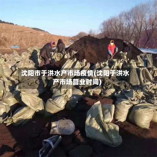 沈阳市于洪水产市场疫情(沈阳于洪水产市场营业时间)