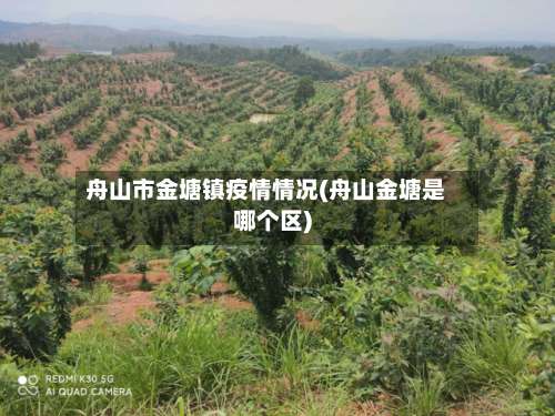 舟山市金塘镇疫情情况(舟山金塘是哪个区)