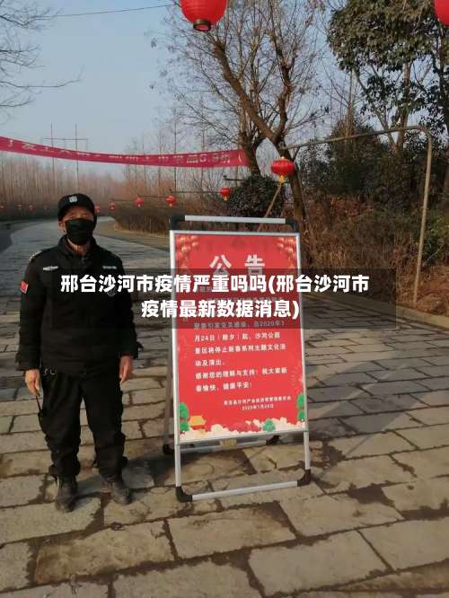 邢台沙河市疫情严重吗吗(邢台沙河市疫情最新数据消息)-第2张图片
