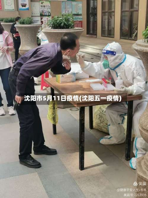 沈阳市5月11日疫情(沈阳五一疫情)